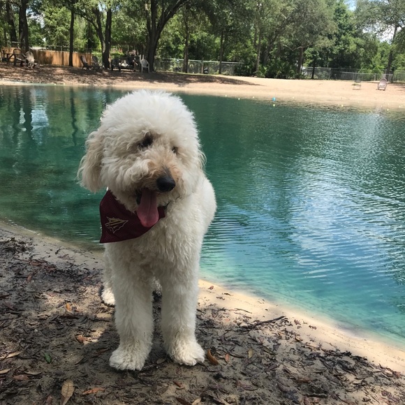 Meet your Posher, Hayley - Picture 1 of 3